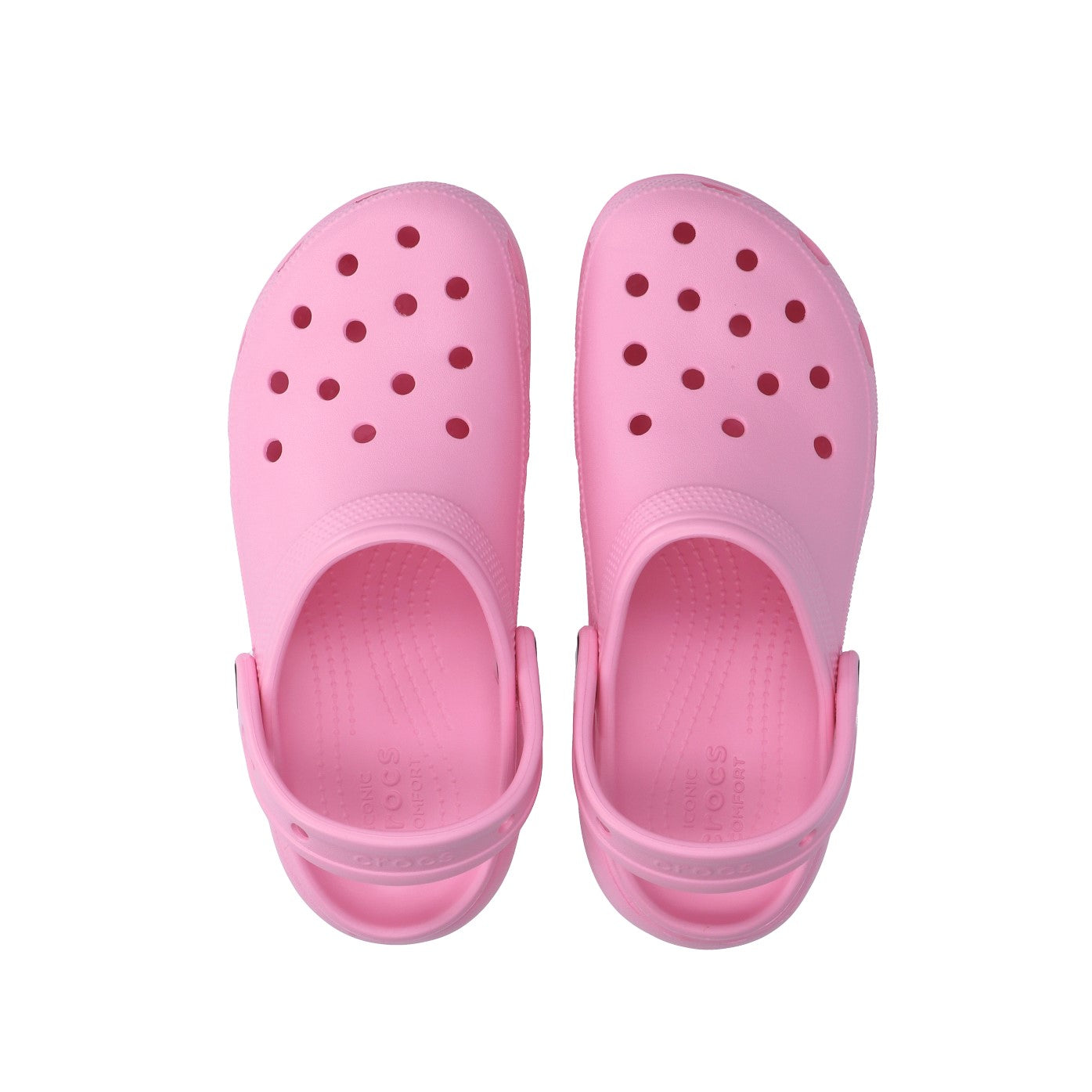 Crocs SABOT Flamingo