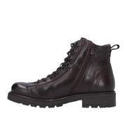 Nerogiardini ANFIBIO Marrone