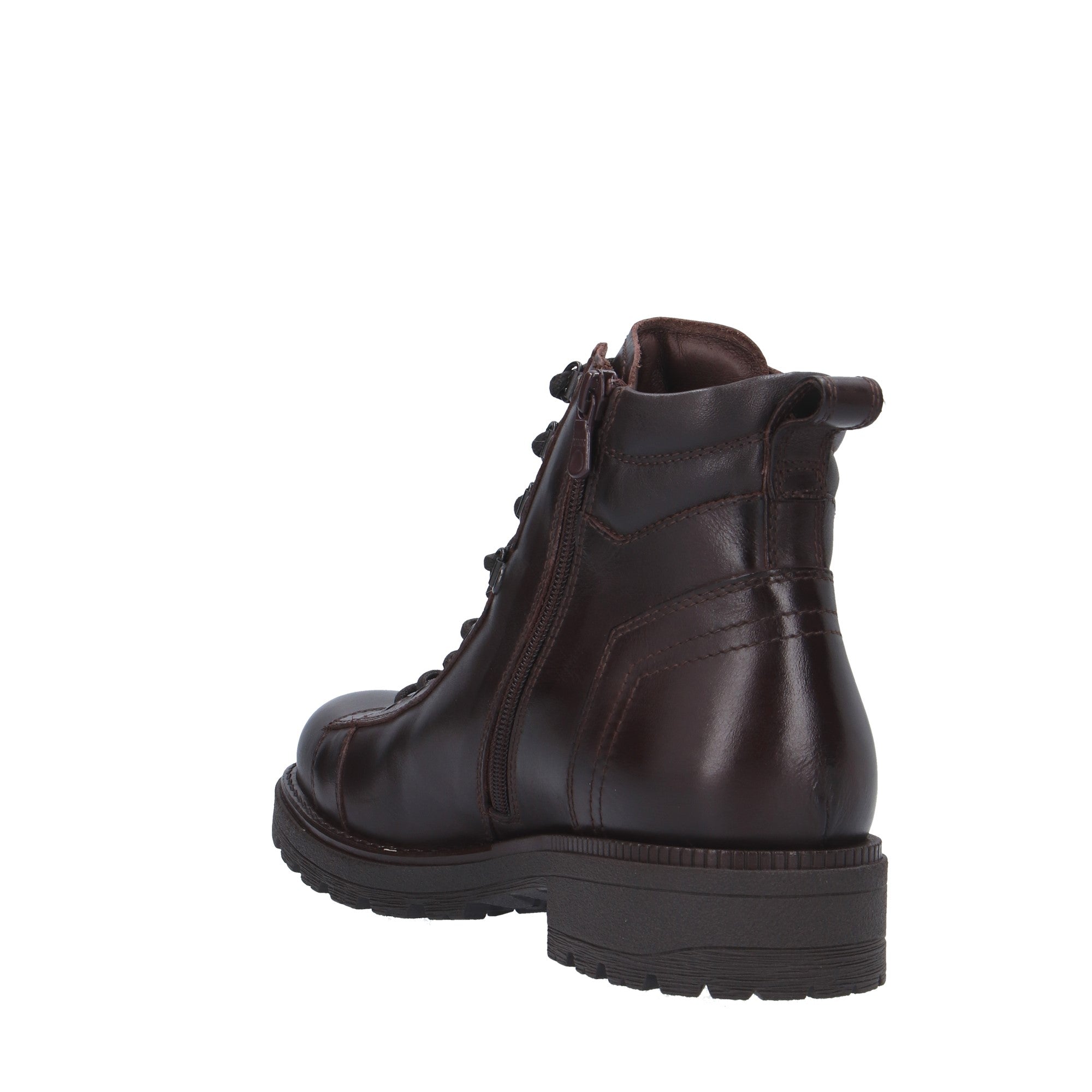 Nerogiardini ANFIBIO Marrone