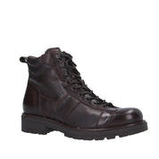 Nerogiardini ANFIBIO Marrone