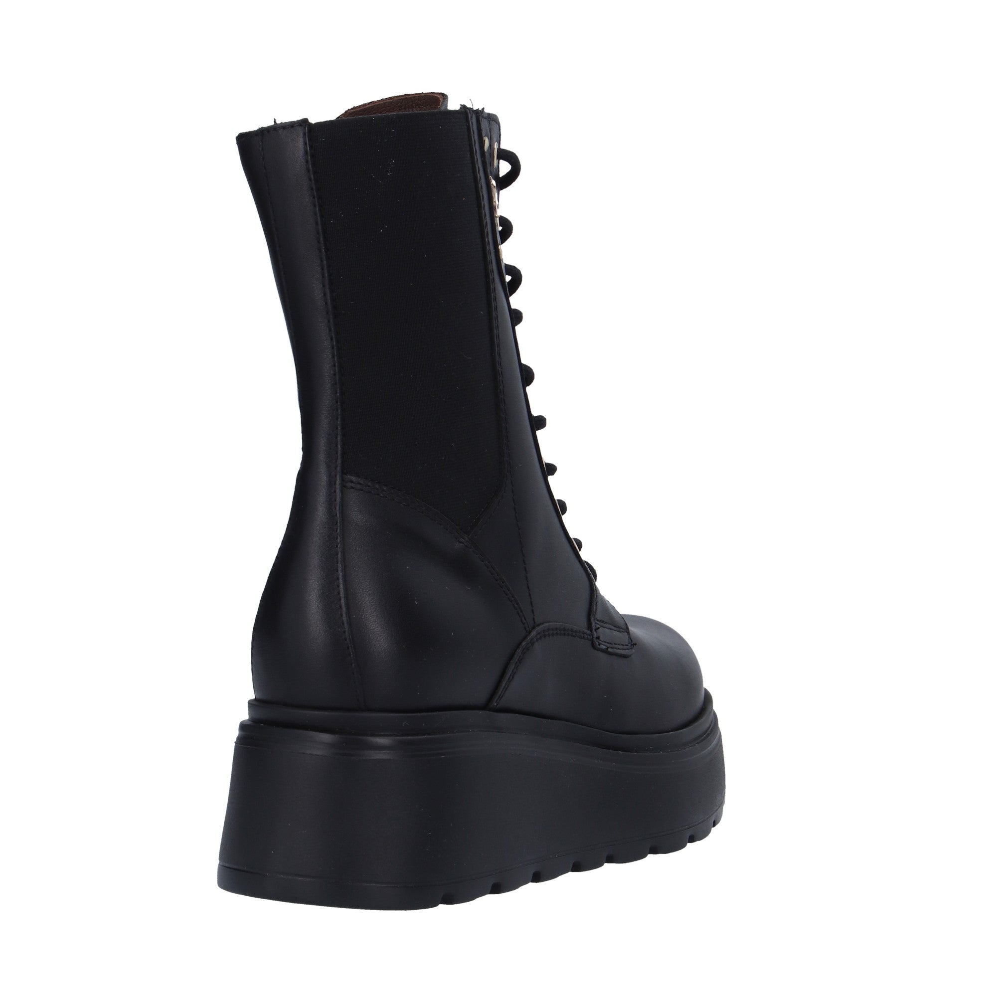 Nerogiardini ANFIBIO Nero