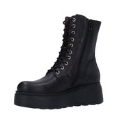 Nerogiardini ANFIBIO Nero