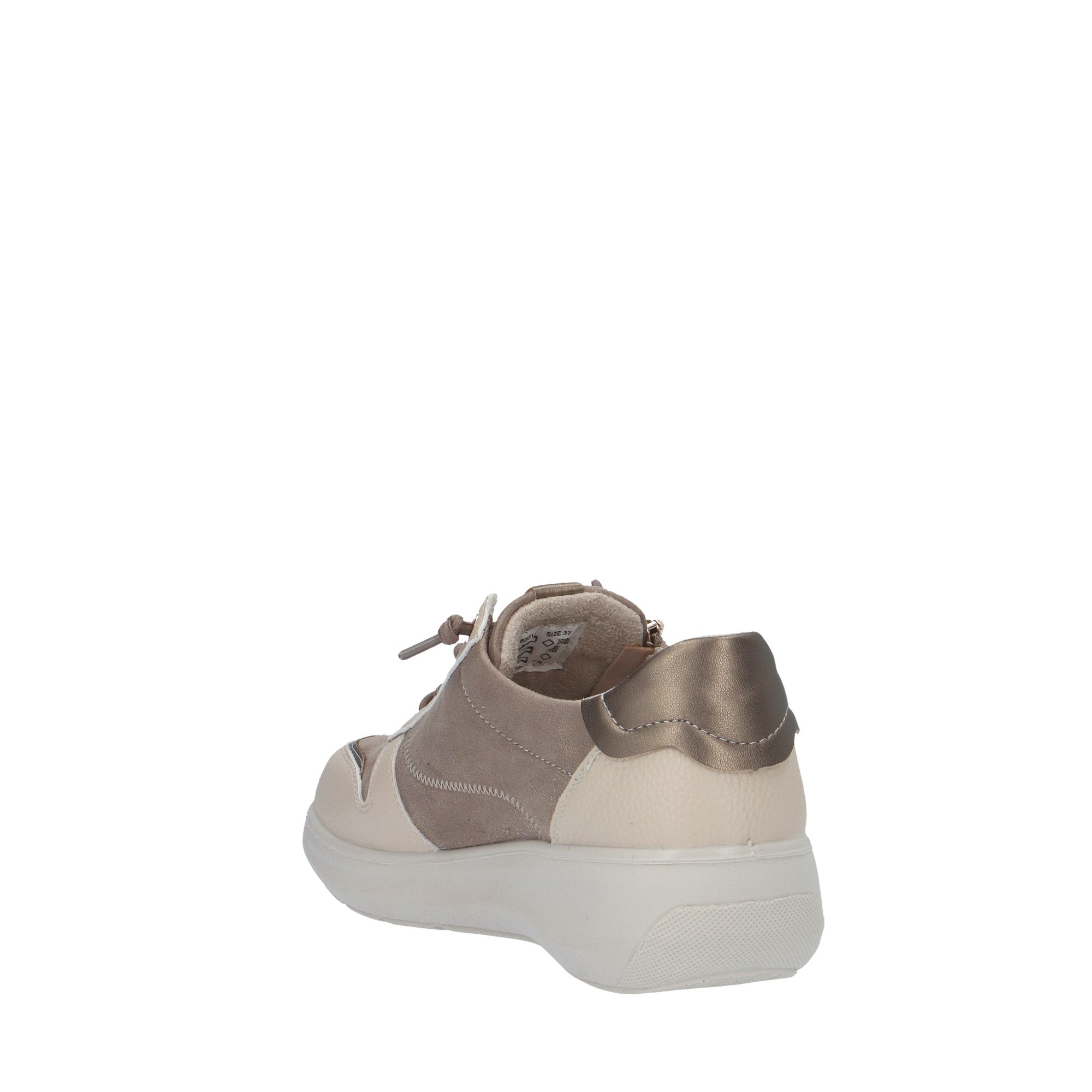 Armony SNEAKER Tortora