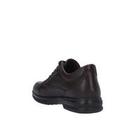 Igi&co SNEAKER Marrone