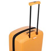 Roncato SPINNER M 4 RUOTE Miele