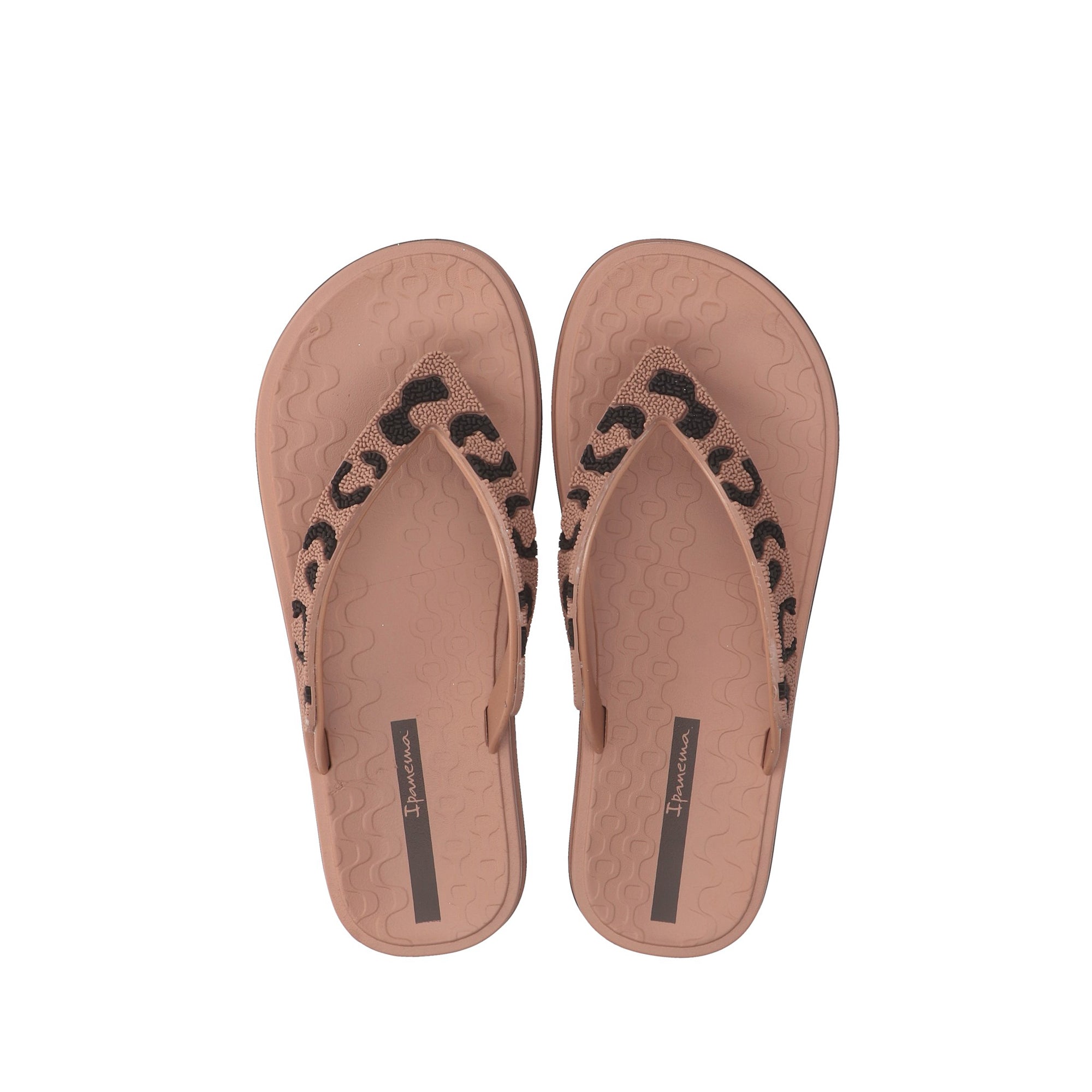 Ipanema INFRADITO Marrone